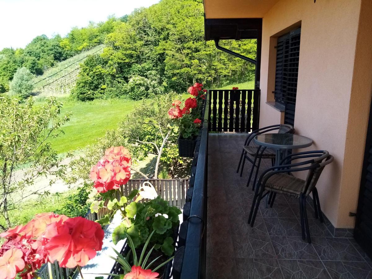 Apartman Potocki Krapina Exterior photo