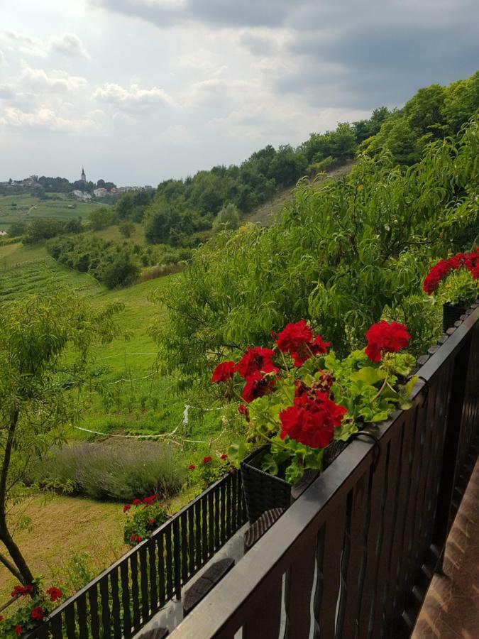 Apartman Potocki Krapina Exterior photo