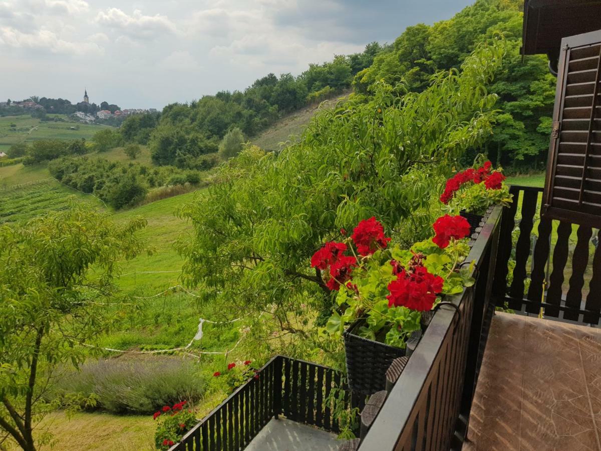 Apartman Potocki Krapina Exterior photo