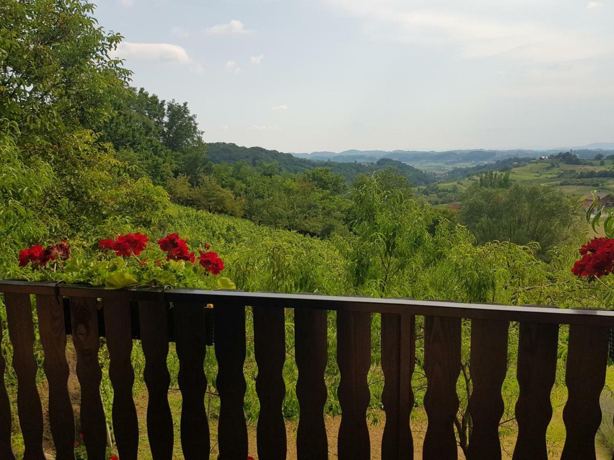 Apartman Potocki Krapina Exterior photo